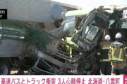 高速バスとトラックの衝突事故で3人心肺停止、トラックに積まれていた豚も逃げ出す