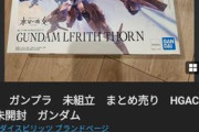 メルカリユーザーさん「よく知らんけどガンプラならなんでも高く売れるんだろ？」
