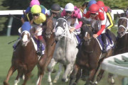 【競馬】土曜阪神2レースの単勝オッズ見てみろ