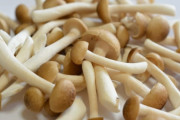 「しめじ」を一番美味く食べる方法ｗｗｗｗｗ