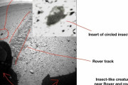 火星に昆虫の痕跡を示す証拠が存在 (写真あり)