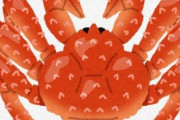 タラバガニって実はカニじゃないんだってね?