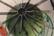 スイカを一瞬で等分に出来そうな便利なアイテムが海外で話題に！上から押すとこうなるらしい　海外の反応