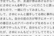 【乃木坂46】佐々木琴子が握手会でブチギレた模様... ※レポあり