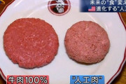 【画像】アメリカの人口肉、ガチで凄い?未来のタンパク源になる？　