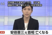 (ヽ;ん;)「俺気付いたよ。俺たちは安倍晋三を殺したかったんじゃない、『倒したかった』んだって」