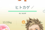 【ポケモンGO】ヒトカゲ100％ゲット！これどうしたらいい？