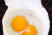 【画像あり】はじめて黄身が2個の玉子きた(´・ω・  `)