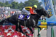 2歳G1・クラシック・古馬G1を勝った馬は漏れなくスターホース