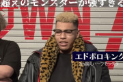 【動画あり】BreakingDownに出演したスロエナさん、ガチで強すぎるｗｗｗｗｗｗｗｗ