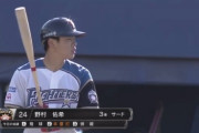 日ハム野村が2軍で打ちまくってるんだが