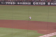 広島・菊池、好プレー＆ホームラン＆無失策をキープ！