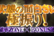 スマスロ防振りのスペック概要が判明！最大出率は113％で極ツラヌキSPECを搭載