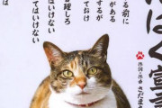 猫の言いなりにならない方法を皆で考えよう