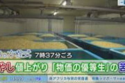 もやし協会会長、一大決心。「一袋50円でも食べたくなるもやしを作らないといけない」