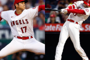大谷以外で二刀流やってたらそこそこ成功してただろうなって思うプロ野球選手