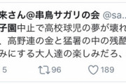 アニ豚「甲子園中止で球児の夢が壊れた？違うだろ。壊れたのは汚い大人の夢。」
