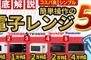 冷凍たこ焼き「600Wで6分だぞ」ワイ「ほーん（800Wで8分と・・・）」→結果w