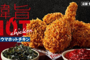 【衝撃】韓国人「日本KFCの新メニュー、思った以上に美味くて困惑…」