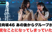 日向坂46  あの後グループが大変なことになってしまっていた…○今年もフェスに出演決定○秋元康さん解像度が高い[日向坂46]