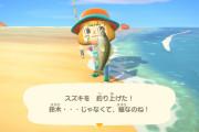 【あつまれどうぶつの森】スズキばっかり釣れる…　ほかの魚は釣れないのかな