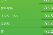 【画像有り】手取り18万ワオ、9月の食費が5.7万円に達する?
