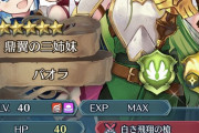 【FEH】W超英雄で引いたこの子育成したんだけどなんでこんなにゴリラなの……？女の子怖い