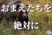 動物愛護者「熊被害に遭った人のことは報道するけど人間が熊にしてることは誰も言わない。母熊の気持ちを考えたことありますか？」