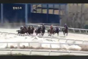 【競馬】2日の笠松競馬5R、全馬競走除外でレース取りやめ