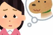 みんなってペットロスからどうやって立ち直った？