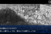 FGO最後のモルガンの独白が悲しすぎてつらい。それだと彼女が可哀想なので少し優しく設定しました。