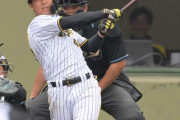 阪神2軍　井坪陽生 .329(82-27) 2本 12打点 OPS.887