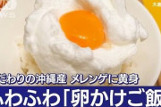 【動画】日本で卵不足・高騰の闇、発覚「4億個が輸出され高額販売、中国で大人気」