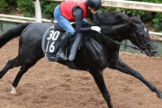 【2歳新馬】福永厩舎の3億円馬アスクセクシーモアがデビュー 鞍上は武豊