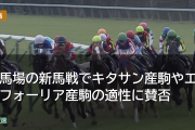 重馬場の新馬戦でキタサン産駒やエフフォーリア産駒の適性に賛否