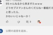 （ヽ´ん`）「あ、下品な物言いでごめんなさい、私ただの通りすがりのこどおじなんで、、」