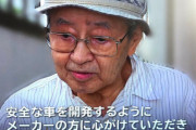 【悲報】上級国民「安全な車を開発するようメーカーは心がけて」
