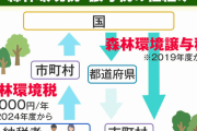 【増税？】岸田首相「花粉症対策を進めます」⇒ 森林環境税(国民1人1000円住民税に上乗せ)