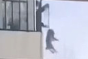 【動画】 コロナで自宅隔離された中国人、２階の窓から飼い犬を吊るして散歩させる様子が激撮され衝撃走る