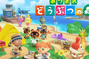 あつまれどうぶつの森買ったやつちょっときて