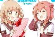 ゆるゆり「かわいいです、面白いです、百合です」←これを超える日常系アニメ、ガチで存在しない……