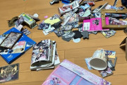 【画像】V豚さん、イベントに行ってる間に親にグッズを全て破壊されてしまうｗｗｗ
