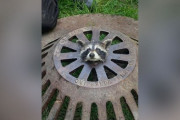 アライグマはなぜマンホールの蓋に首をはめるのか