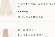 松井珠理奈さん「駅でお気に入りのFENDIのマフラーを落としてしまったみたいです?? 」