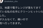 【悲報】にじさんじ所属Vtuber、地震で骨折したと嘘をつきコラボをドタキャンしてしまう・・・・