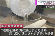 【悲報】 韓国が海に流す原発トリチウム水、福島の130倍だったｗ　日本1300億、韓国17兆 ベクレル