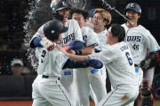 交流戦セリーグ「お、おい話が違うぞ！西武強いじゃねえか！」
