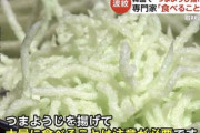 【悲報】韓国、とんでもない食べ物が流行してしまう
