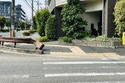 【日本】自転車と衝突した女性ドライバーさん、車の凹みが気になってしまう