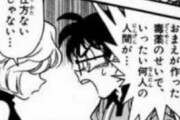 コナンの灰原って最終回で逮捕されてしまうんやろか？